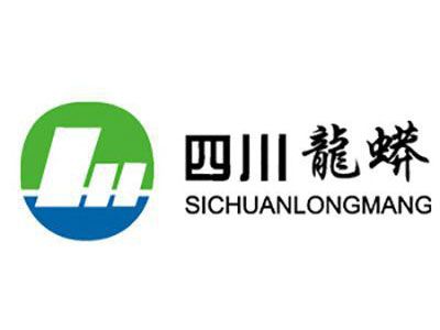 四川龙蟒矿冶700万吨绿色选矿项目