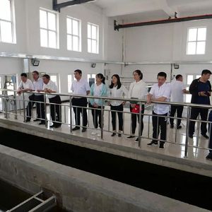 大唐阜新污水厂污泥处置10.0万吨/日设施项目