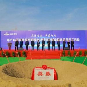 青海泰丰锂能16万吨高能密度电材料制造项目
