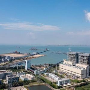 福建闽投湄洲湾电厂一期项目